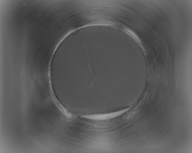 X0000071340907200606231135