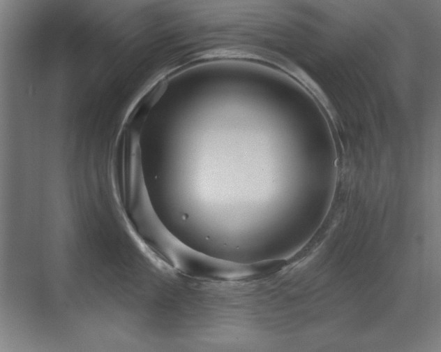 X0000071340909200606231135