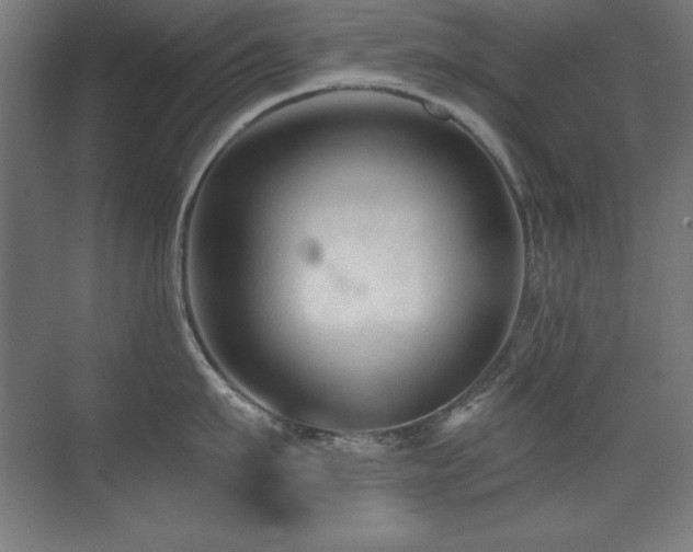 X0000071340911200606231135