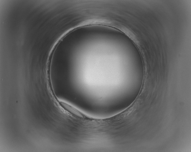 X0000071340912200606231135