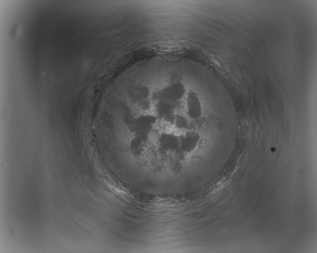 X0000071340913200606231134