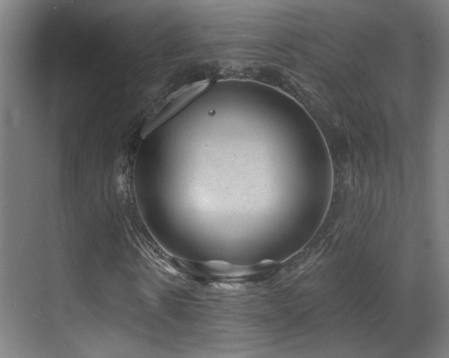 X0000071340914200606231134