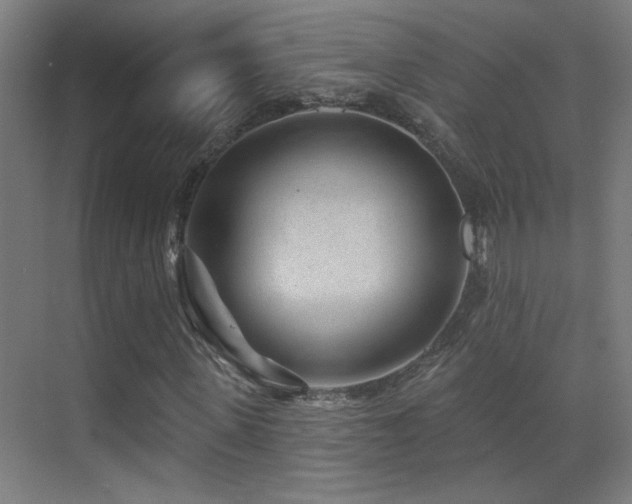 X0000071340915200606231134