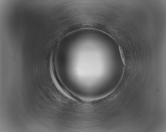 X0000071340916200606231134