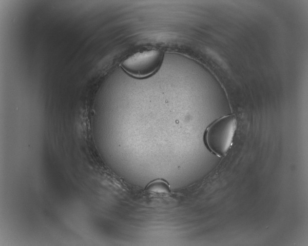 X0000071340918200606231134