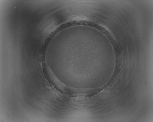 X0000071340919200606231134