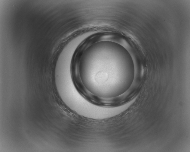 X0000071340920200606231134