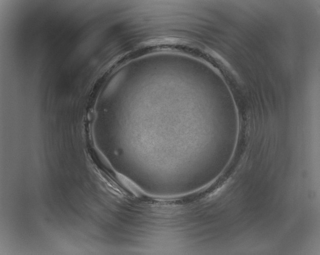 X0000071340921200606231134