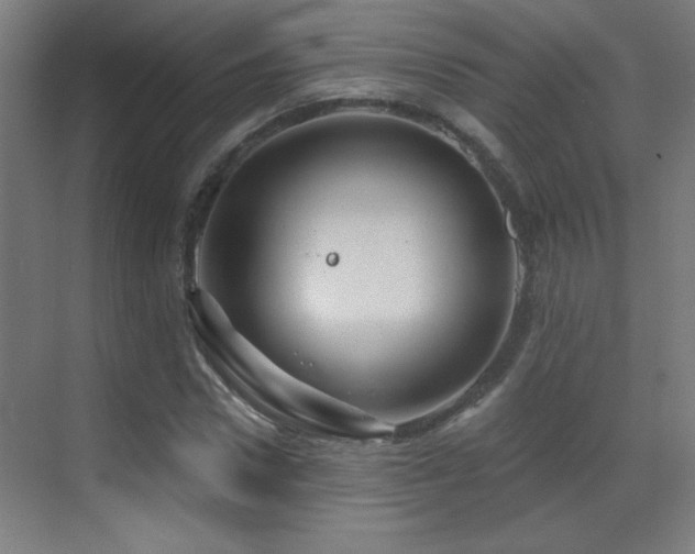 X0000071340922200606231134