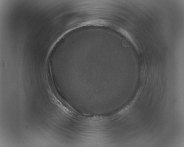 X0000071340923200606231134