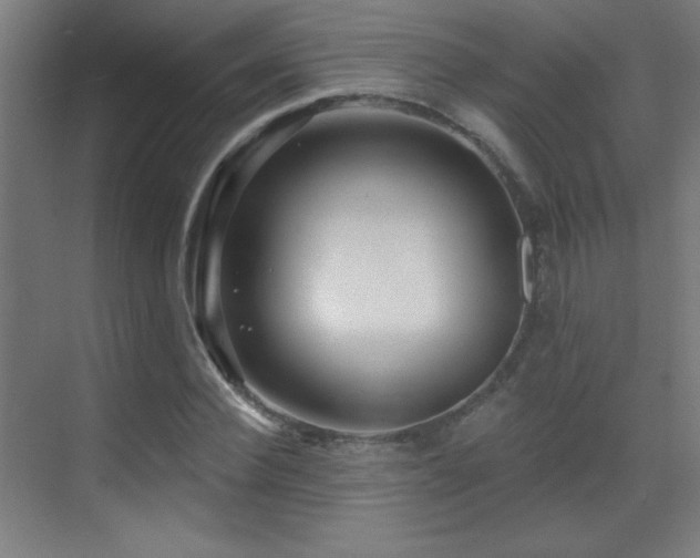 X0000071340924200606231134