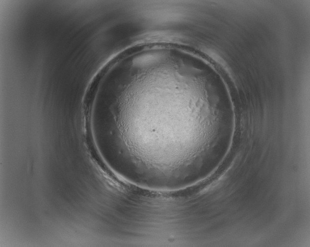 X0000071340925200606231134