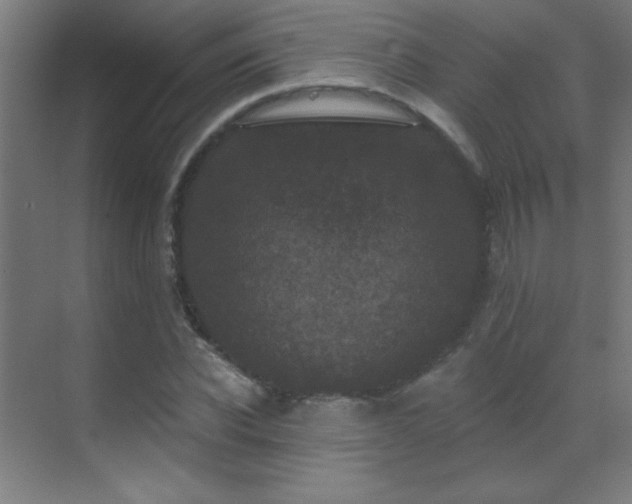 X0000071340926200606231134