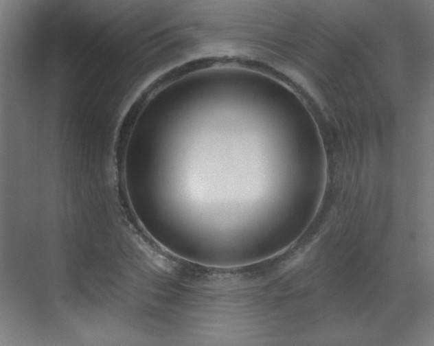 X0000071340927200606231134