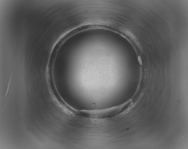 X0000071340928200606231134