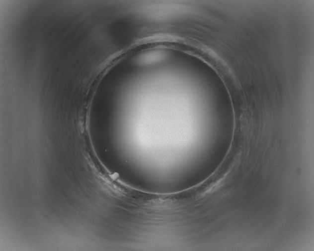 X0000071340929200606231134