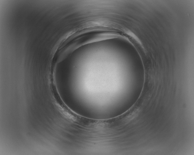 X0000071340930200606231134