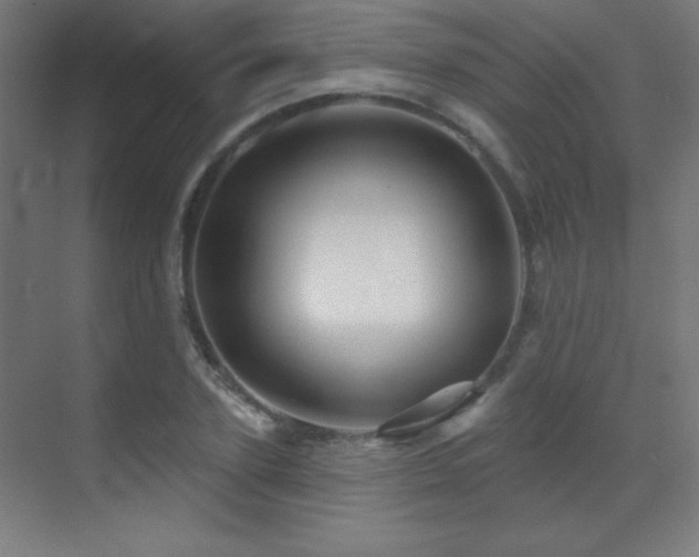 X0000071340931200606231134