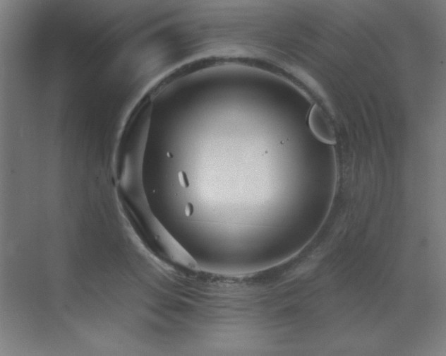 X0000071340935200606231134