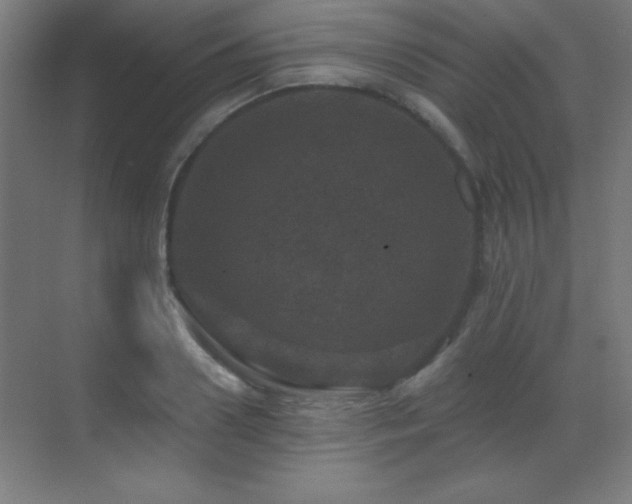 X0000071340938200606231134