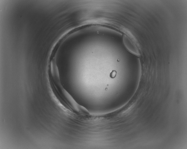 X0000071340939200606231134