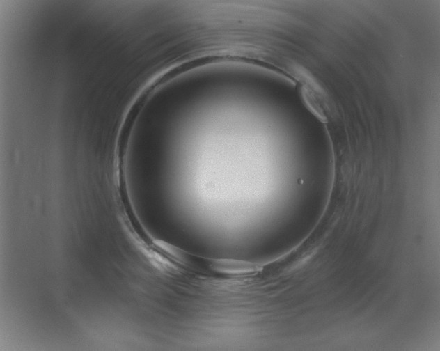 X0000071340940200606231134