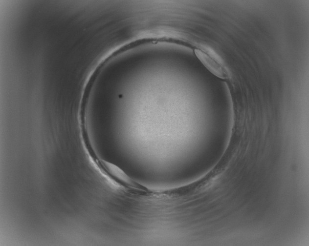 X0000071340943200606231134