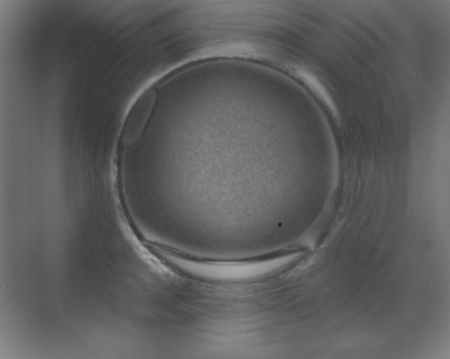 X0000071340944200606231134