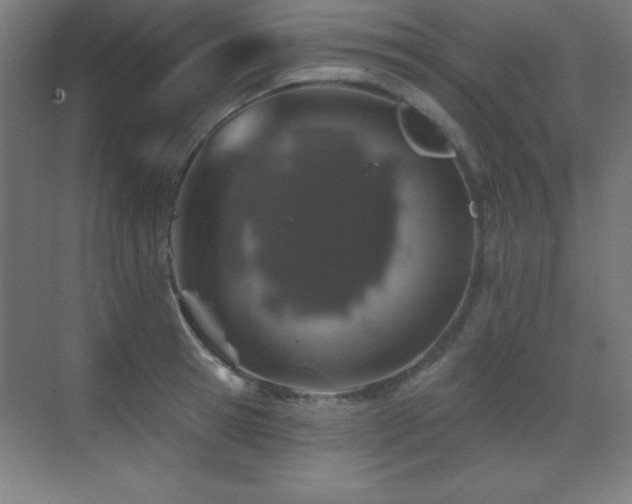 X0000071340945200606231134