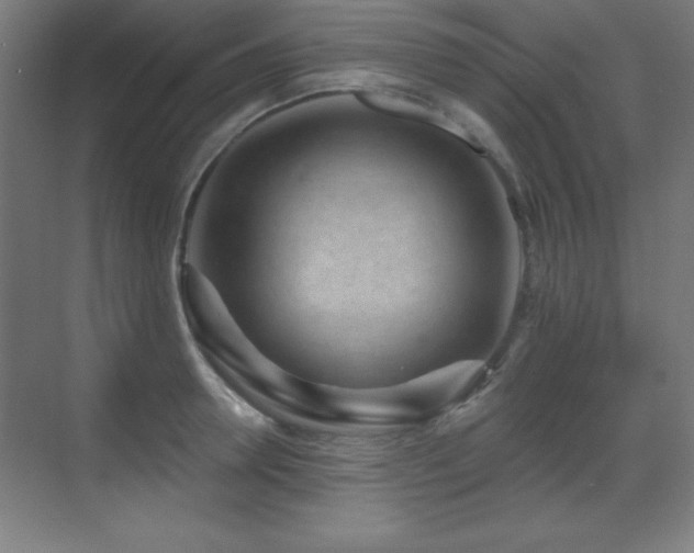 X0000071340946200606231134