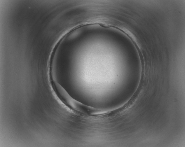 X0000071340949200606231135