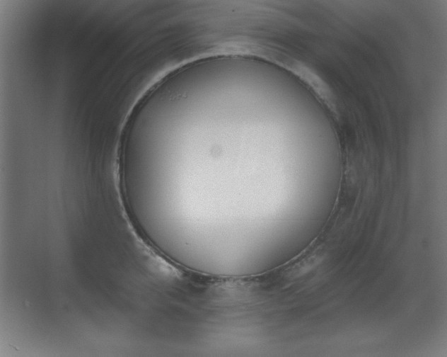 X0000071340950200606231135