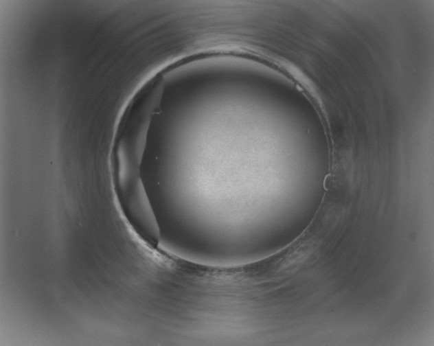 X0000071340951200606231135