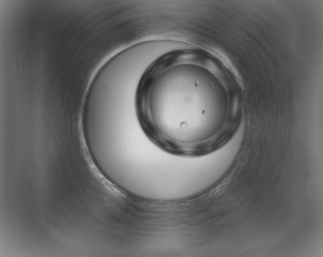 X0000071340952200606231135