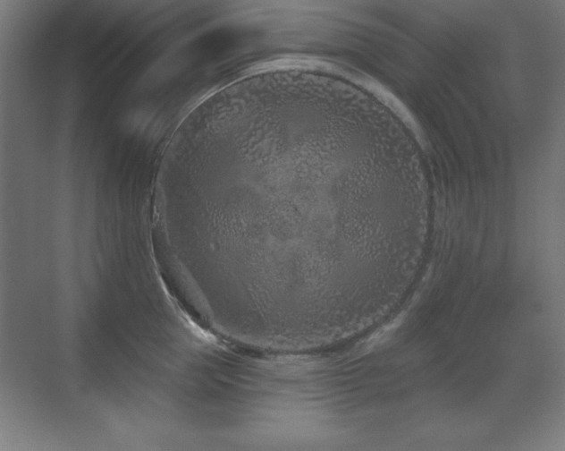 X0000071340953200606231135