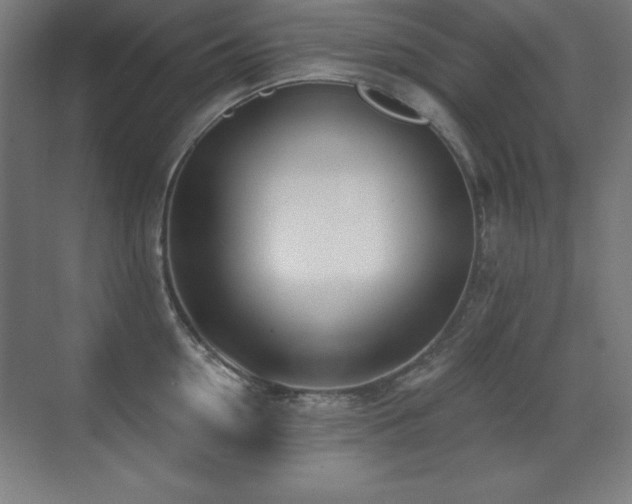 X0000071340954200606231135