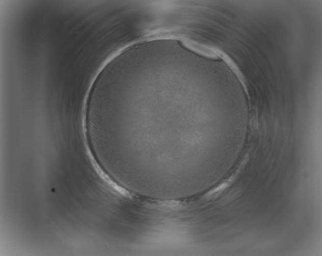 X0000071340957200606231135