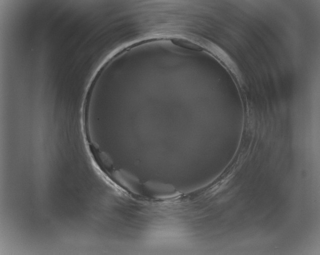 X0000071340958200606231135