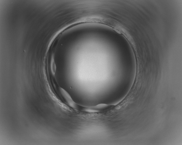 X0000071340960200606231135