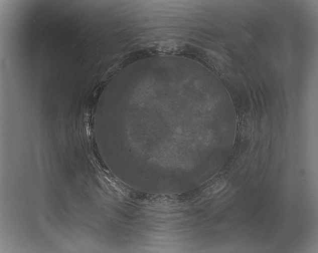 X0000071340962200606231134