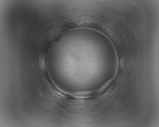 X0000071340963200606231134