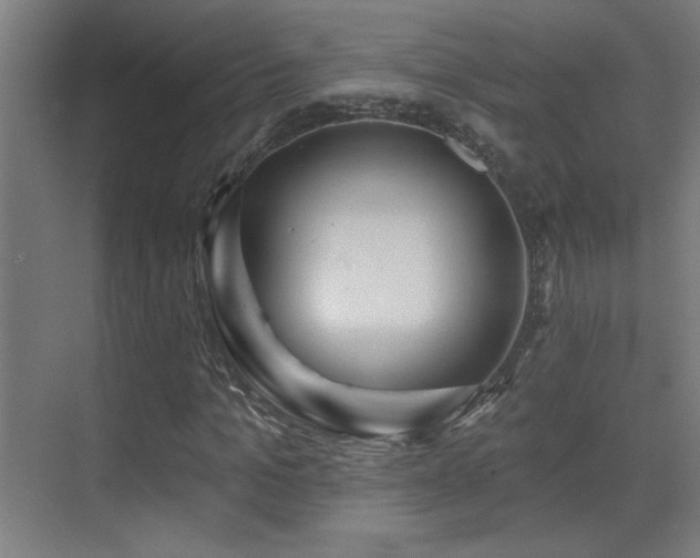 X0000071340965200606231134