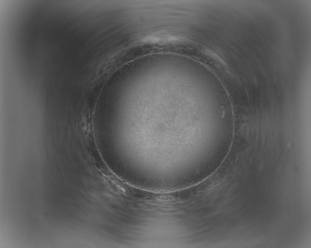 X0000071340966200606231134