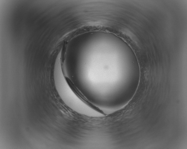 X0000071340968200606231134