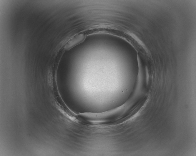 X0000071340969200606231134