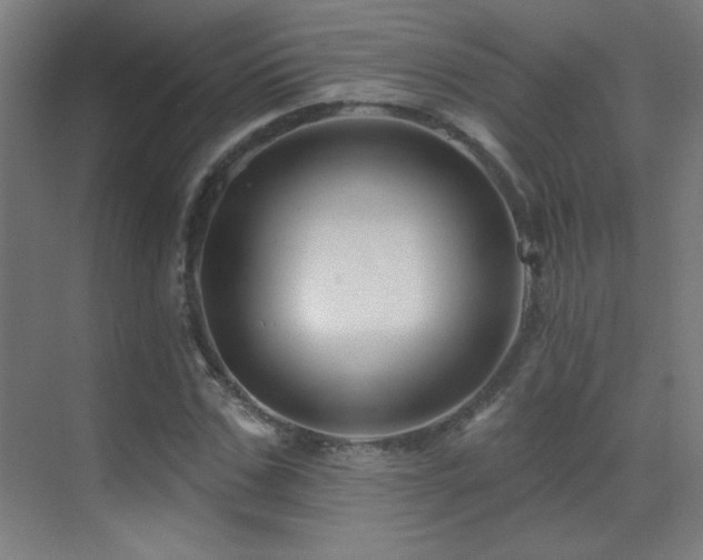 X0000071340971200606231134