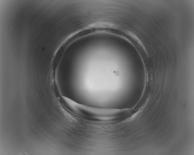 X0000071340973200606231134