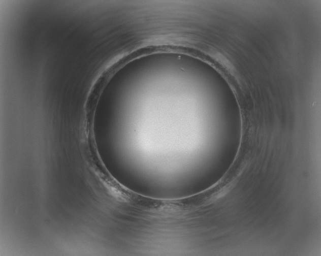 X0000071340974200606231134