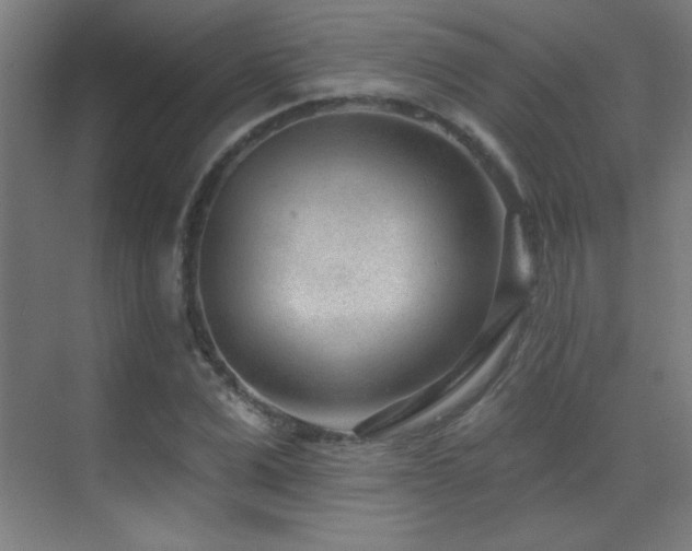 X0000071340975200606231134