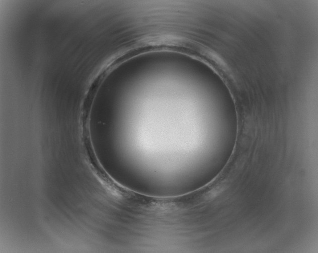 X0000071340978200606231134